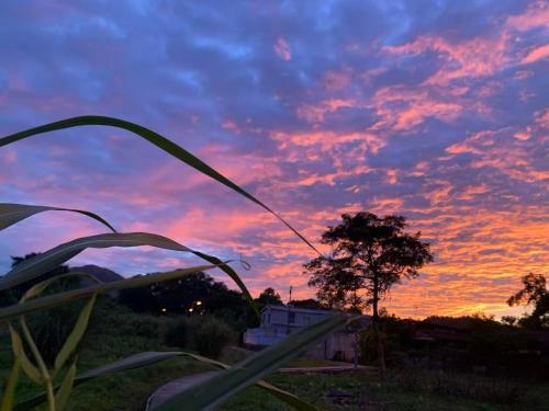 Farm Cottage in 北區