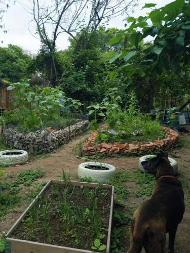 Farm Cottage in 北區