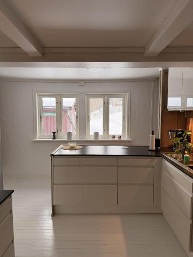 Quiet detached house in Haukeli, modern and homey in Edlandsgrend