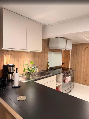 Quiet detached house in Haukeli, modern and homey in Edlandsgrend