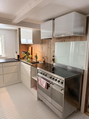 virtuve, Quiet detached house in Haukeli, modern and homey in Edlandsgrend
