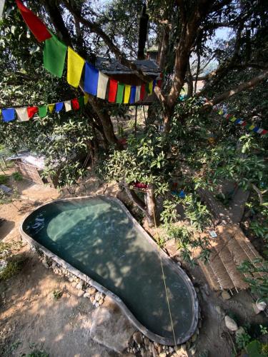 Swimming pool, Pemsee's Tree Town - Eco Treehouse Hostel in Chitwan