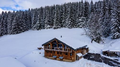 Ski Chalet B