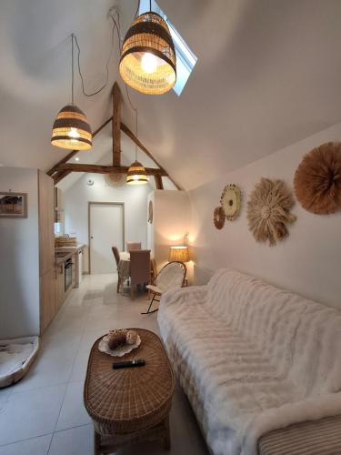 le nid douillé 30 minutes zoo de Beauval gîte à louer La Bataillerie