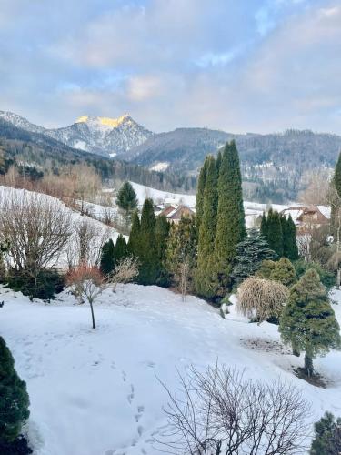 Skats, Modern loft for 6 with mountain views in Bad Ischl in Ramsau (Upper Austria)