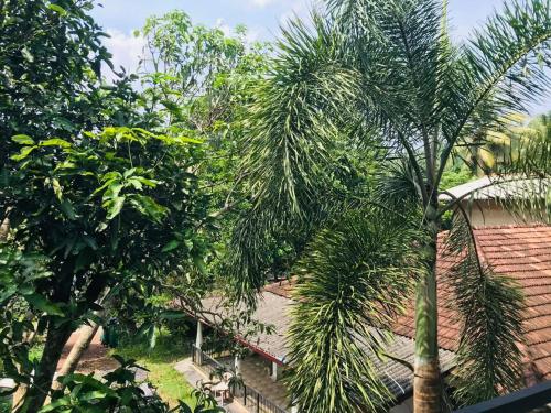 Dikkumbura Home Stay - image 5