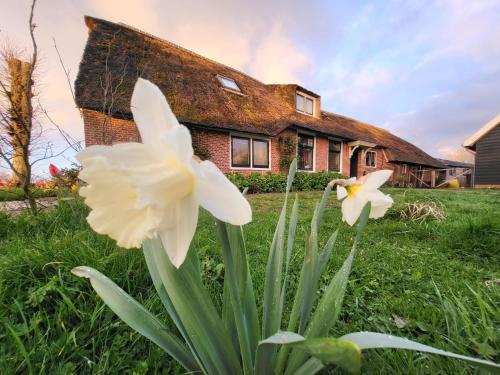A szálláshely kívülről, B&B Koe en Kussen in Bodegraven