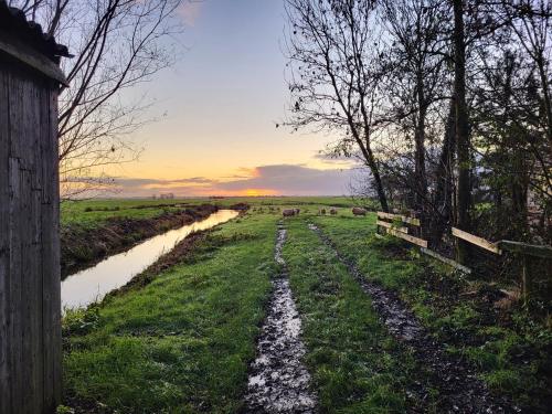 Kert, B&B Koe en Kussen in Bodegraven