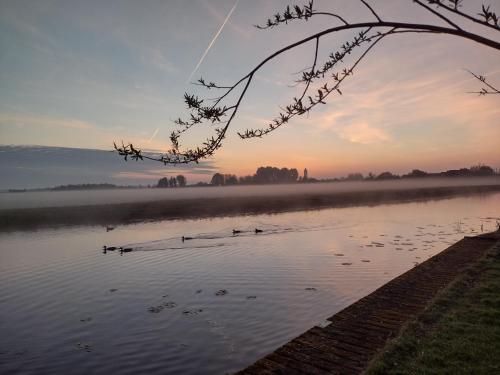 Létesítmények, B&B Koe en Kussen in Bodegraven