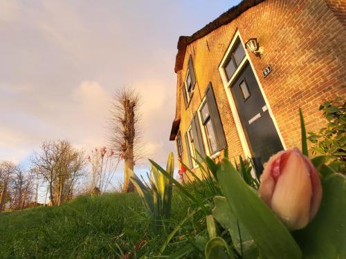 A szálláshely kívülről, B&B Koe en Kussen in Bodegraven