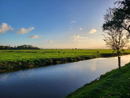 Létesítmények, B&B Koe en Kussen in Bodegraven