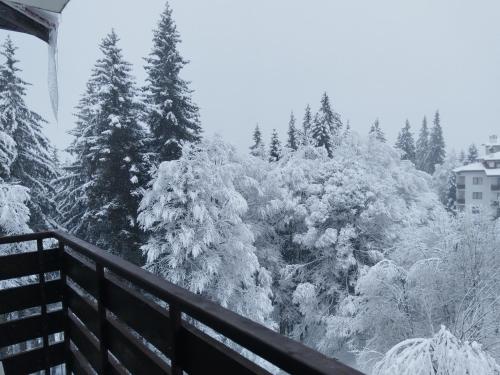 Апартамент за гости в Пампорово in Pamporovo