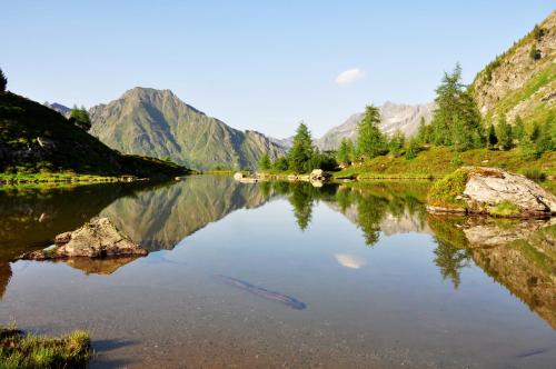 Urlaub am Raderhof in der Ferienregion Lungau