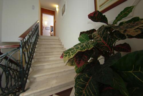 Hotel Vila Sikaa - image 5