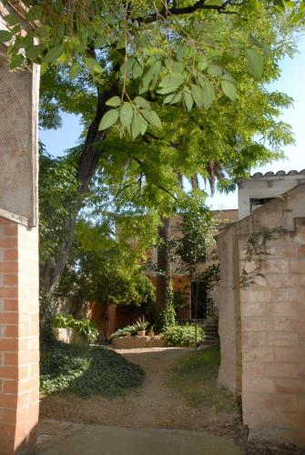 حديقة, Ca la Paula in فيلافرنسا ديل بينيديس