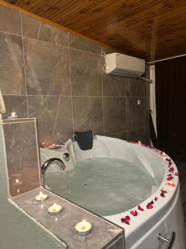 lily airport otel in Istanbul