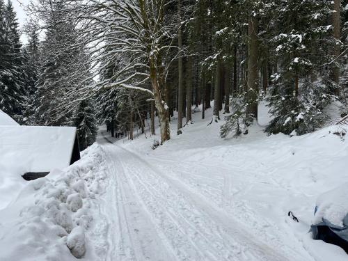 Chata u Maršíků (Chata u Marsiku) in Dolni Dvur
