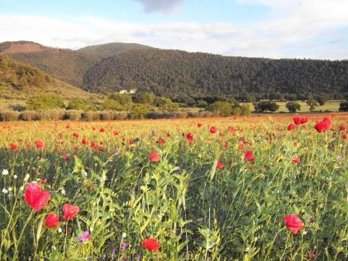 Agriturismo Il Casalino