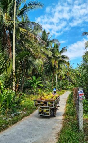 Green Coconut Island – khách sạn tại My Thanh