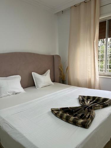 Apartment with independent entrance in the center M5 in Ariana
