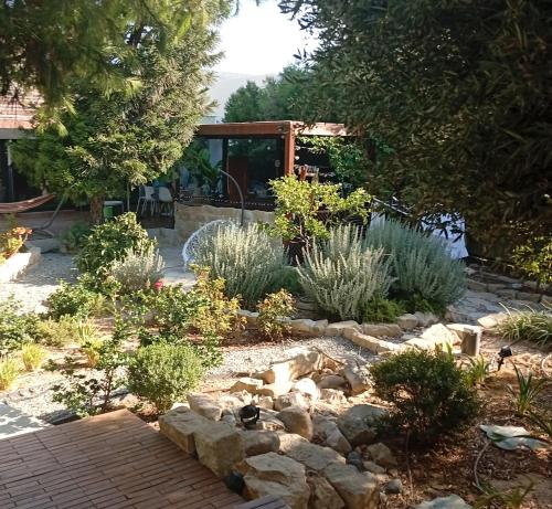 Little paradise in Germasogeia