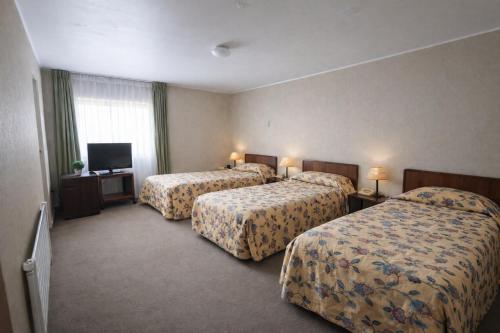 Hotel de Viña – Vina del Mar, WV