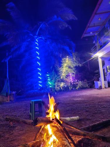 Sirimane Jungle Homestay in Jog Falls
