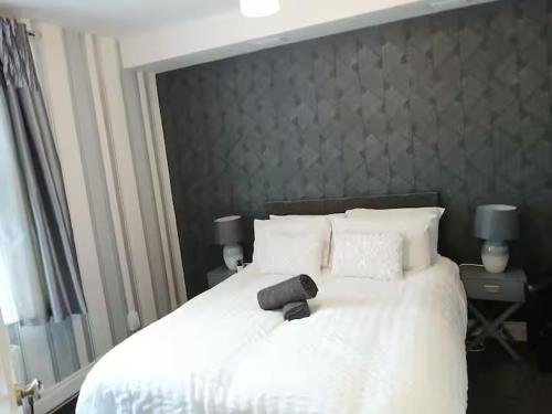 Ultra-Central Leicester - Uni, Stadium & City chambre d'hôte Aylestone
