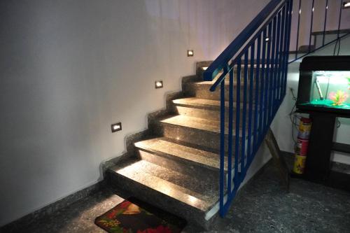  Il corallo azzurro in Reggio Calabria