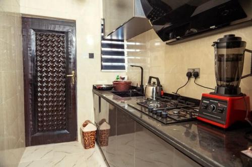 De Rex Luxury Apartment in อาวกา