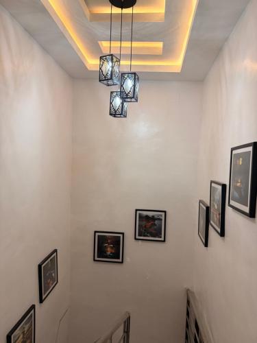 De Rex Luxury Apartment in อาวกา