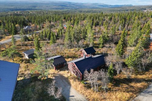 Hogt upp pa fjallet! in Storhagna