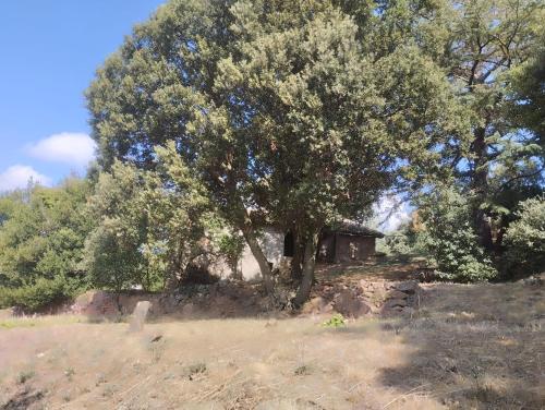 Instalações, Mas MONtornes SILVESTRE in Sant Sadurni D'Osormort