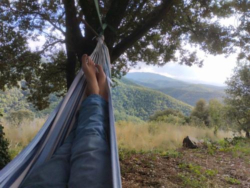 Nas proximidades, Mas MONtornes SILVESTRE in Sant Sadurni D'Osormort