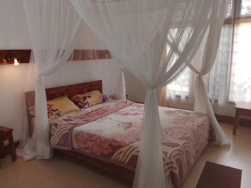 Avocado Lodge in Lushoto