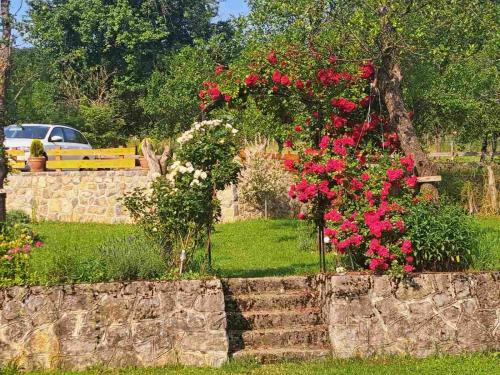 Domacinstvo Majovac - image 2