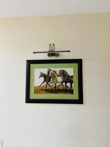 Premium category Suites - image 7