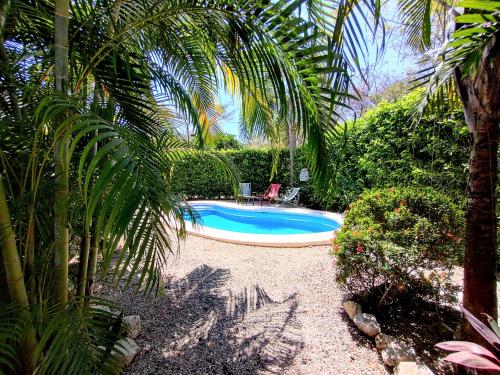 Casa Ceiba Samara – khách sạn tại Samara