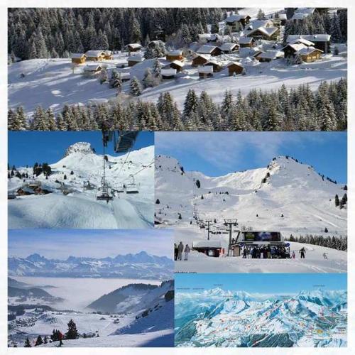 Les Terrasses du Mont blanc - main image