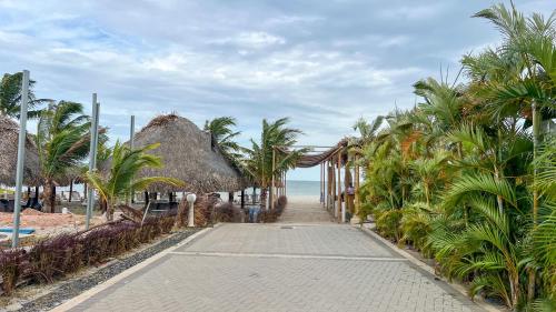 Amazing experience Playa Caracol with ocean views in El Pajonal