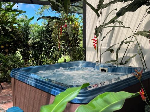 Casa el Manú Finca Agroecologíca – khách sạn tại Santa Rita