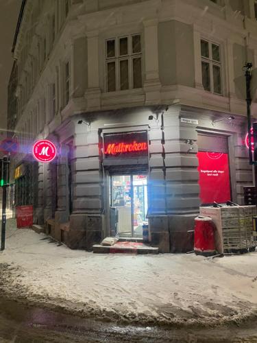 Moderne ettroms studioleilighet! in Sagene