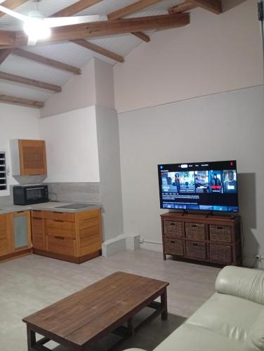 T2 tele 60 pouces Netflix clim Induction lave vaisselle in Saint-Joseph