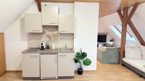 Konyha, Großzügige Wohnung - 1 Minute zum Pferdezentrum (Großzugige Wohnung - 1 Minute zum Pferdezentrum) in Stadl-Paura