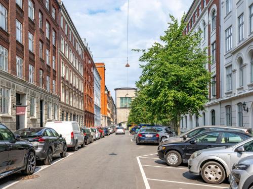 Shield 2 - Great Apartment in the Centre of Copenhagen - image 2