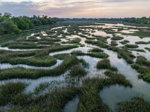 Hampton Inn Beaufort - image 21