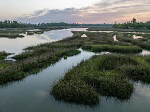Hampton Inn Beaufort - image 29