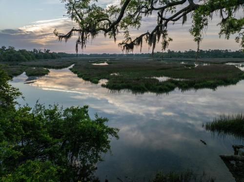 Hampton Inn Beaufort - image 35