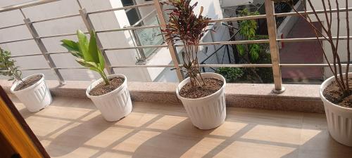 Ima Sadhana Hotel - Sunlit Rooms in Upper Tapovan, PanchKarma, Yoga, Meditation, Ayurvedic Massage W photo 3