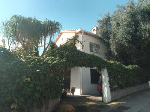 Villa SCLAVO - Location saisonnière - Roquebrune-Cap-Martin